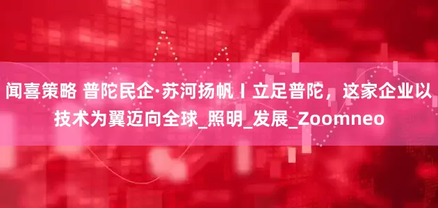 闻喜策略 普陀民企·苏河扬帆〡立足普陀，这家企业以技术为翼迈向全球_照明_发展_Zoomneo