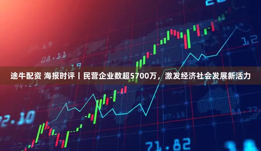 途牛配资 海报时评丨民营企业数超5700万，激发经济社会发展新活力